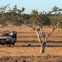 Putovanja - Afrika, Indija, Vijetnam