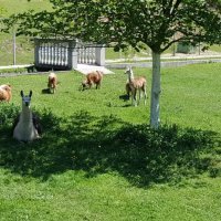 Bio park Divlje vode