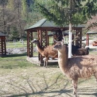 Bio park Divlje vode