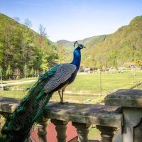 Bio park Divlje vode