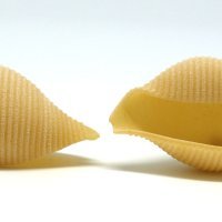 conchiglioni