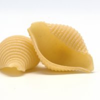 conchiglie