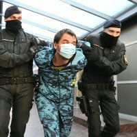 Uhićenje Romana Brnade