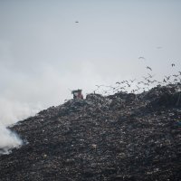 Požar na zadarskom deponiju