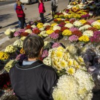 Cvijeće za Sve svete