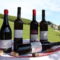 Vinogradarska kuća Braje