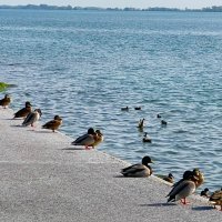 Marina Prelog i jezero Dubrava