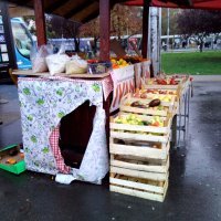 MeanIT X4 - primjeri fotografija