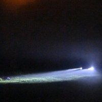 Leš u Savi kod Mosta mladosti