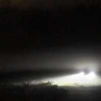 Leš u Savi kod Mosta mladosti