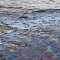 Površinsko onečišćenje mora i morskog okoliša ugljikovodicima na poziciji između Rta Uljeva i južnog dijela uvale Kuje kod Pule