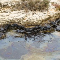 Počelo čišćenje mora u Ližnjanu