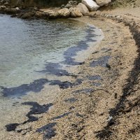 Počelo čišćenje mora u Ližnjanu