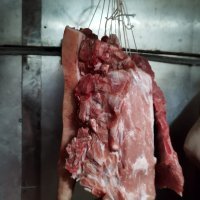 Ilegalna klaonica u Dalmaciji