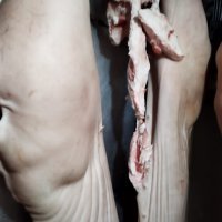 Ilegalna klaonica u Dalmaciji