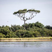 Klimatske promjene snažno pogađaju Maršalove otoke i Tuvalu