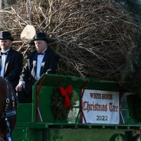 Božićno drvce bijele kuće