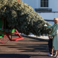 Božićno drvce bijele kuće