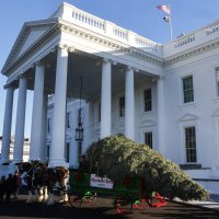 Božićno drvce bijele kuće