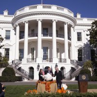 Joe Biden pomilovao dvije purice