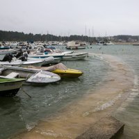 Poplavljena riva u Rovinju