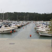 Poplavljena riva u Rovinju