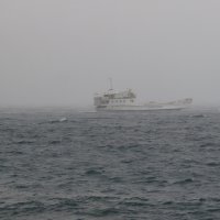 Trajekt Pelješčanka prkosi olujnom jugu