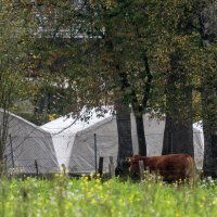 Šatori za val migranta u Austriji