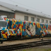 Boris Bare oslikao vlak