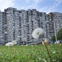 Mamutica - najveća zgrada u Zagrebu