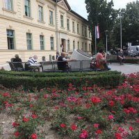 KBC Sestre milosrdnice