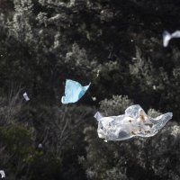 Plastične vrećice lete sa smetlišta Karepovac u SPlitu