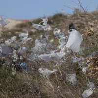 Plastične vrećice lete sa smetlišta Karepovac u SPlitu