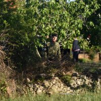 Pad školskog aviona Zlin 242 L