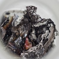 Alumni Katedre za fotografiju 2017.-2022.