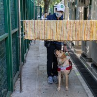 Život u Kini nakon popuštanja covid mjera