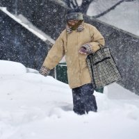 Snijeg u Zagrebu 2012. godine