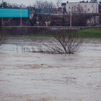 Sava se izlila iz korita