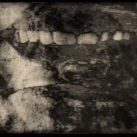 Vladislav Knezevic - REFRACTIONS