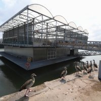 Plutajuća mliječna farma u Rotterdamu