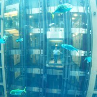 Berlinski akvarij