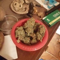 Laboratorij za uzgoj marihuane u Rovinju