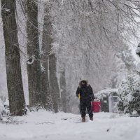 Snijeg i hladnoća blokirali zračnu luku u Vancouveru