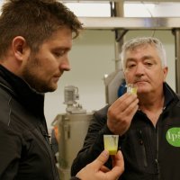 Ipša maslinovo ulje_Ivan i Klaudio Ipša_EP6