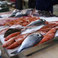 Split - Ponuda ribe na gradskoj ribarnici za Badnjak
