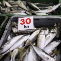Split - Ponuda ribe na gradskoj ribarnici za Badnjak