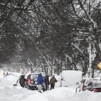 Snježna mećava, SAD
