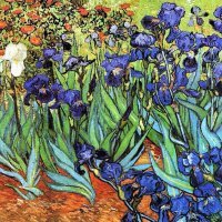 Van Gogh - Irisi