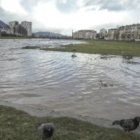 Poplavljena Miljacka