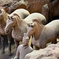 profimedia-0089311976